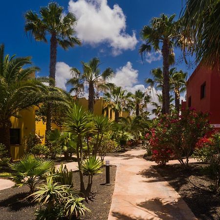 Oasis Vistamar Apartment Corralejo Exterior photo